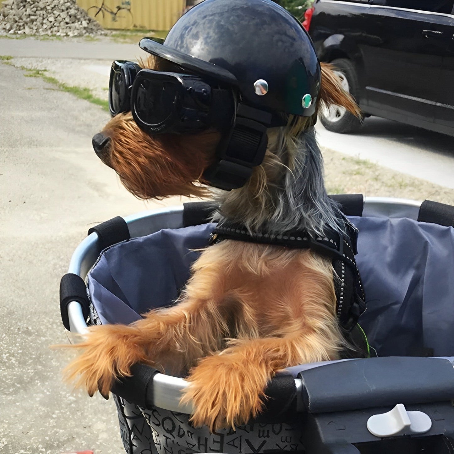 Dog Motorcycle Helmet With Goggles Pet Safety Gear TikTok Viral Fall 2025 Gift Idea