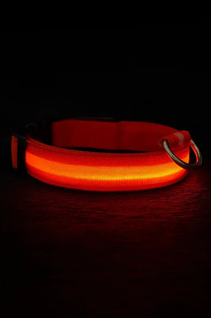 LED Dog Collar Rechargeable Luminous Small Dog Night Walks Fall 2025 Flashing Anti Lost Safety