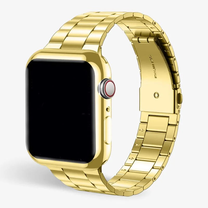 Stainless Steel Watch Band With Protective Case Secure Fit