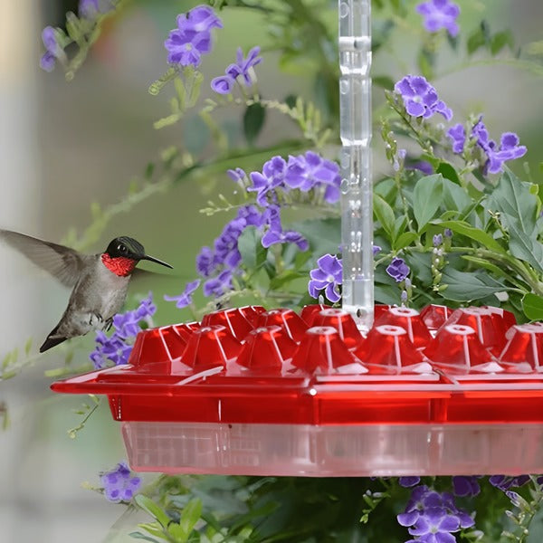 Hummingbird Feeder With Built In Ant Moat, Garden Bird Feeder For Patio, Summer 2025 Backyard Wildlife Gift