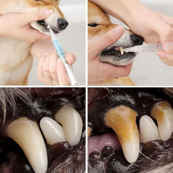 Dog Dental Care Gel Tartar Remover For Home Oral Hygiene, Prevent Dental Disease, 2026 Pet Health Trend