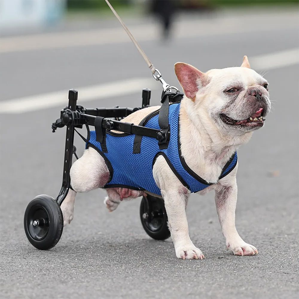 Dog Wheelchair Adjustable Hind Leg Mobility Aid For Pets, Rehab Tool And Independent Walking