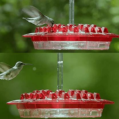 Hummingbird Feeder Ant Proof Outdoor Hanging Perch Hex