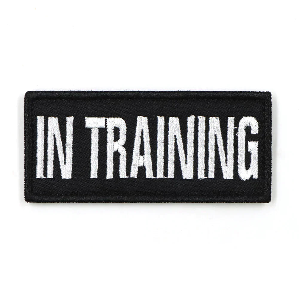 In Training Patch Black Hook And Loop Harness Patch Fall 2025 Trend Easy Attach For Walks And Training Status