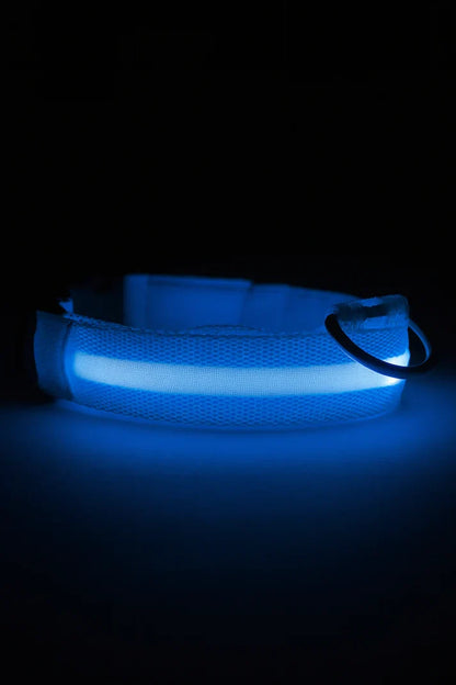 LED Dog Collar Rechargeable Luminous Small Dog Night Walks Fall 2025 Flashing Anti Lost Safety