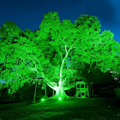 24V Waterproof Outdoor Landscape Tree Lighting - Flare Shack