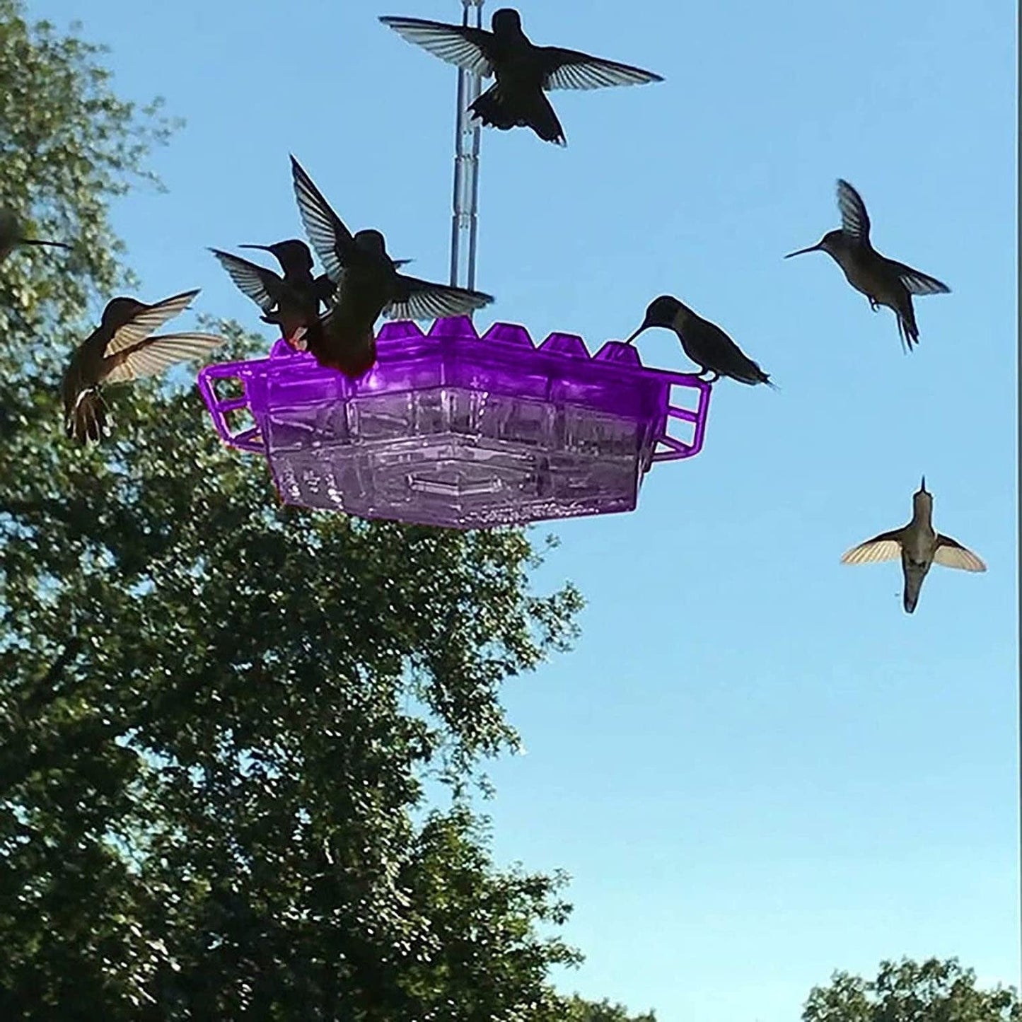 Hummingbird Feeder Ant Proof Outdoor Hanging Perch Hex