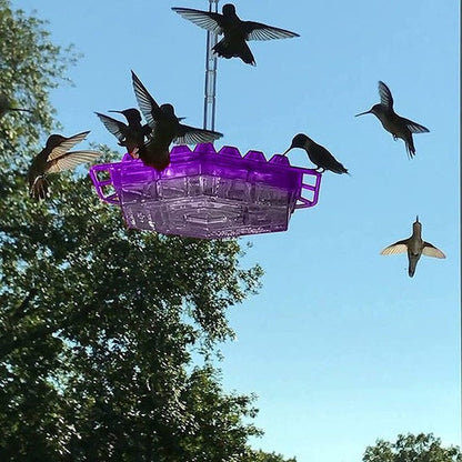 Hummingbird Feeder Ant Proof Outdoor Hanging Perch Hex