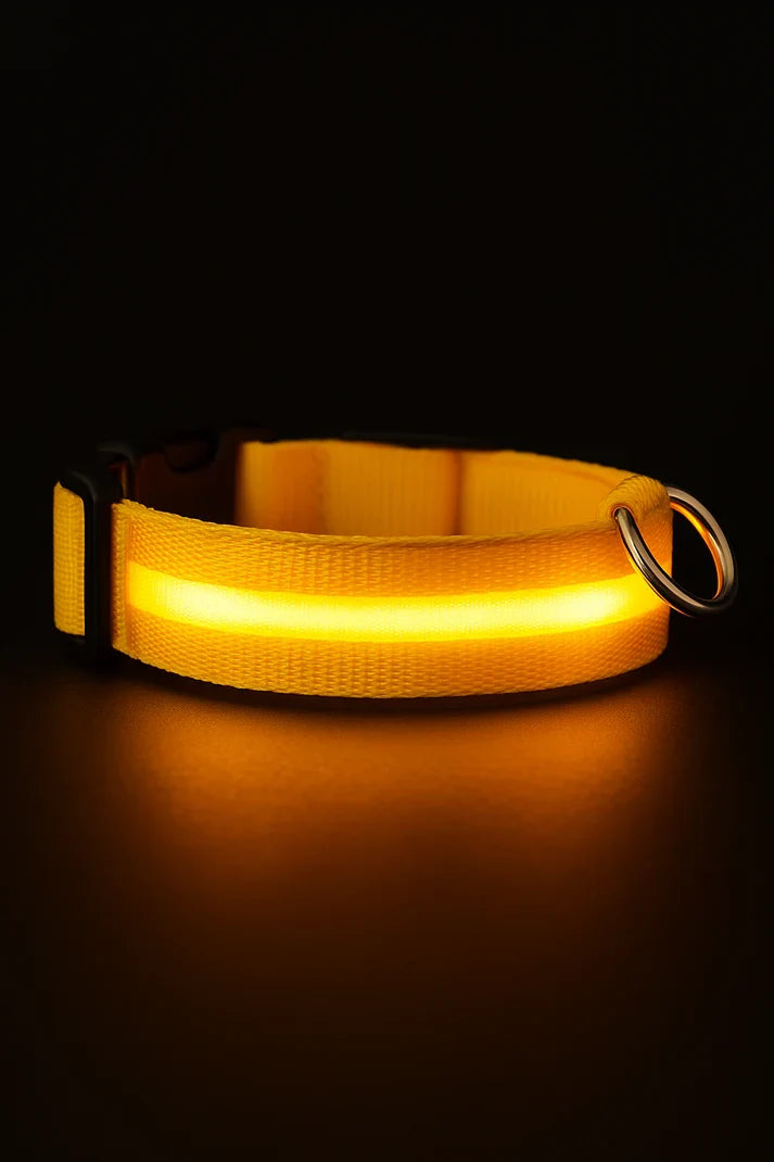 LED Dog Collar Rechargeable Luminous Small Dog Night Walks Fall 2025 Flashing Anti Lost Safety