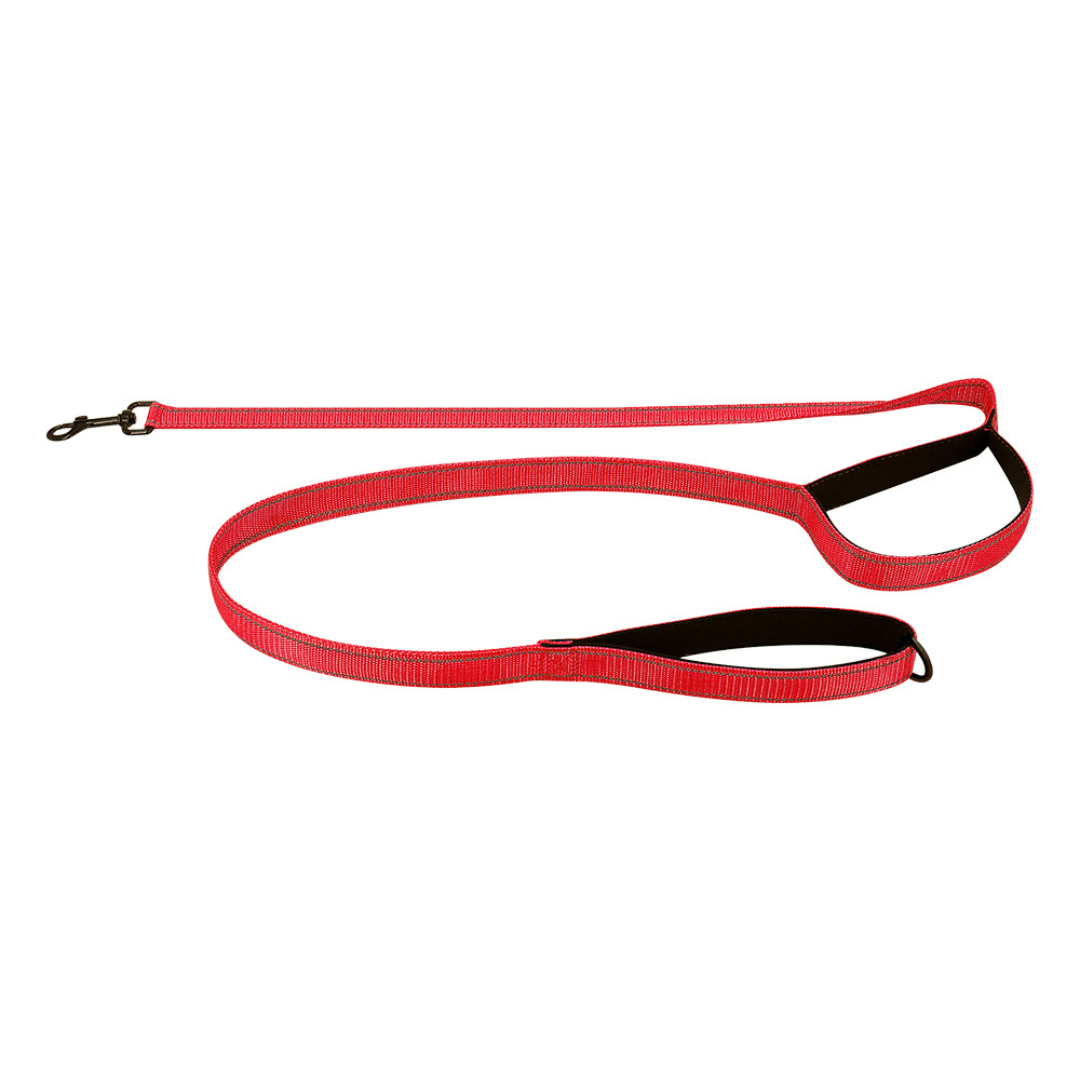 Reflective Dual-Handle Dog Leash – Traffic Handle, Nighttime Visibility, Fall 2025 Pet Safety