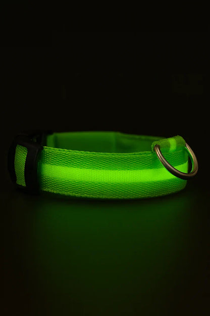LED Dog Collar Rechargeable Luminous Small Dog Night Walks Fall 2025 Flashing Anti Lost Safety