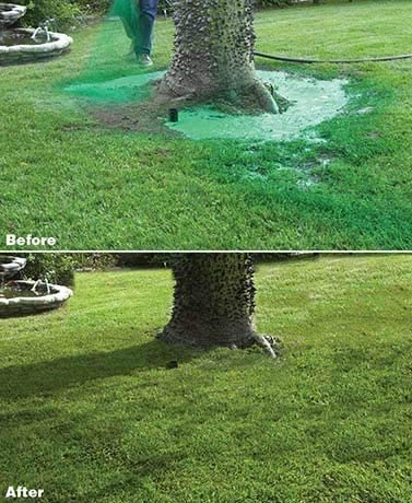 Liquid Lawn Seed Spray All In One Seeding Kit For Effortless Lawn Growth Fall 2025