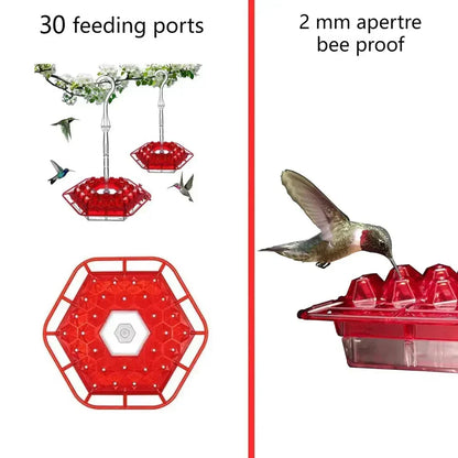 Hummingbird Feeder Ant Proof Outdoor Hanging Easy Perch