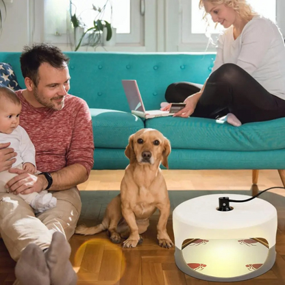 Indoor Bed Bug Trap