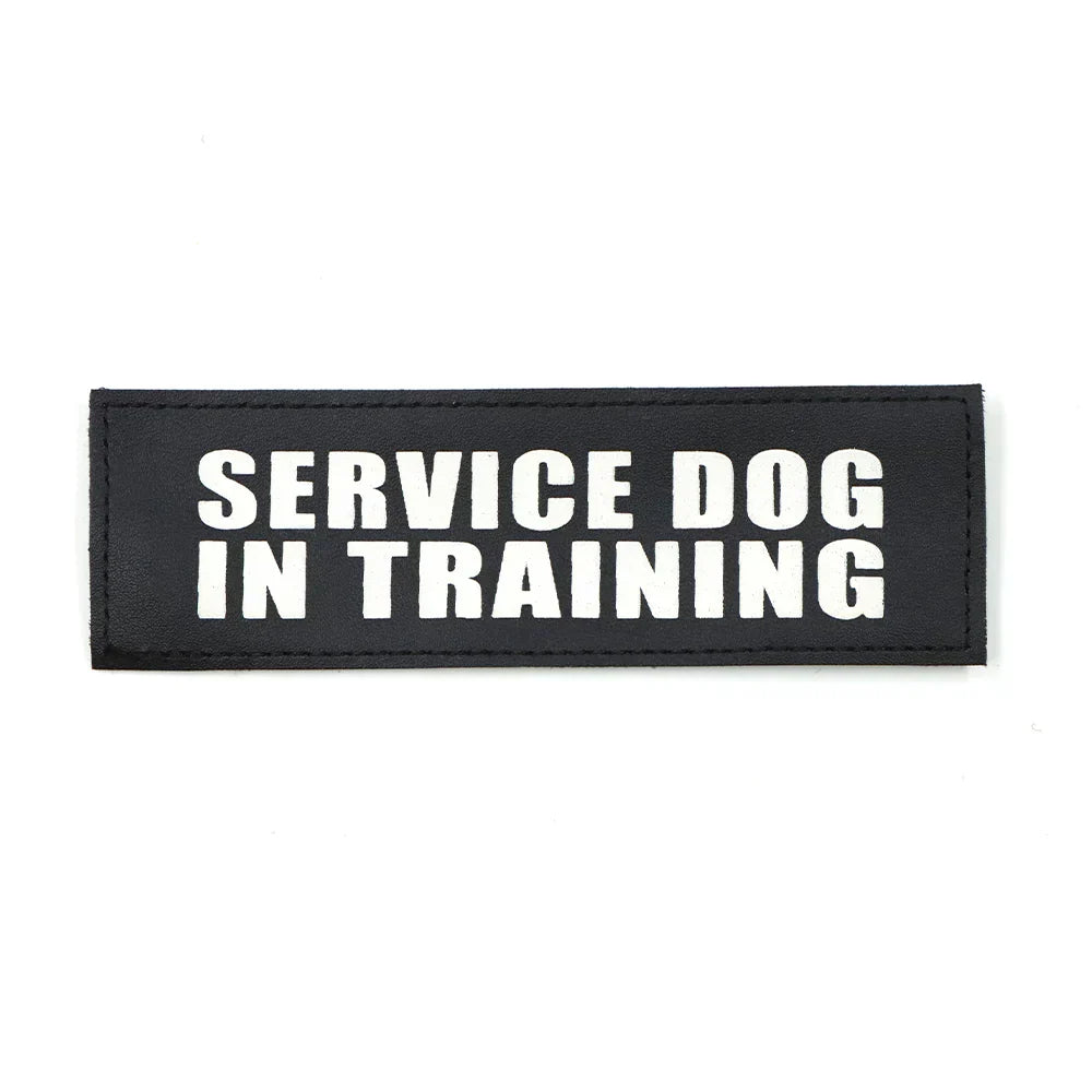 Service Dog Patch In Training Harness Patch With Hook And Loop Backing Fall 2025 Training Sign