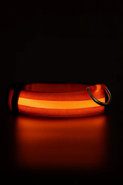 LED Dog Collar Rechargeable Luminous Small Dog Night Walks Fall 2025 Flashing Anti Lost Safety