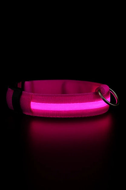 LED Dog Collar Rechargeable Luminous Small Dog Night Walks Fall 2025 Flashing Anti Lost Safety