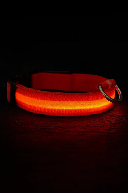 LED Dog Collar Rechargeable Luminous Small Dog Night Walks Fall 2025 Flashing Anti Lost Safety