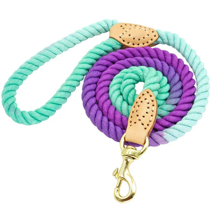 Dog Leash Rope Nylon Heavy Duty Walking Lead Hiking Training Fall 2025 Comfortable Leather Wrapped Grip