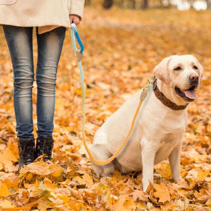 Dog Leash Rope Nylon Heavy Duty Walking Lead Hiking Training Fall 2025 Comfortable Leather Wrapped Grip