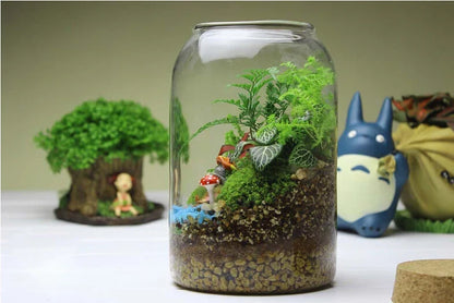 Glass Terrarium Vase Round Bottom Handmade Succulent Terrarium Kit Fall 2025 Tabletop Home Decor Gift