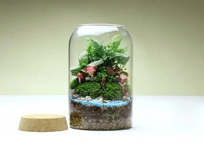 Glass Terrarium Vase Round Bottom Handmade Succulent Terrarium Kit Fall 2025 Tabletop Home Decor Gift