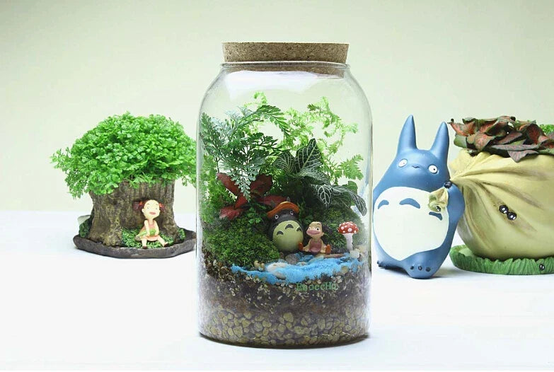 Glass Terrarium Vase Round Bottom Handmade Succulent Terrarium Kit Fall 2025 Tabletop Home Decor Gift