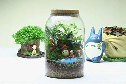 Glass Terrarium Vase Round Bottom Handmade Succulent Terrarium Kit Fall 2025 Tabletop Home Decor Gift