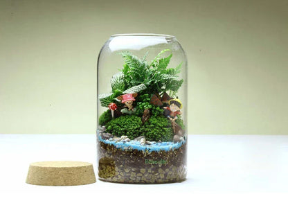 Glass Terrarium Vase Round Bottom Handmade Succulent Terrarium Kit Fall 2025 Tabletop Home Decor Gift