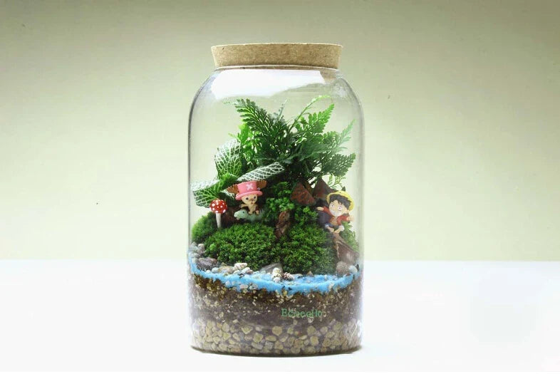 Glass Terrarium Vase Round Bottom Handmade Succulent Terrarium Kit Fall 2025 Tabletop Home Decor Gift