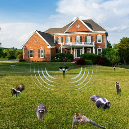 Raccoon Ultrasonic Repeller Motion Fall Pest Control
