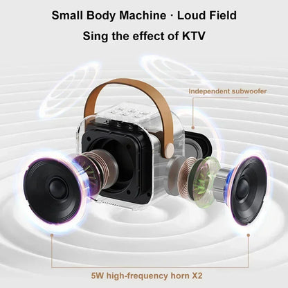 Portable Bluetooth Karaoke Machine with Wireless Microphones - Fun Family Singing Gift