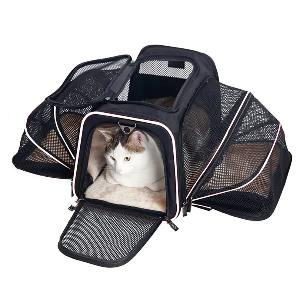 Pet Carrier Bag Up To 10kg Foldable Breathable Soft-Sided Travel Carrier Fall 2025 Safe Locking Zippers