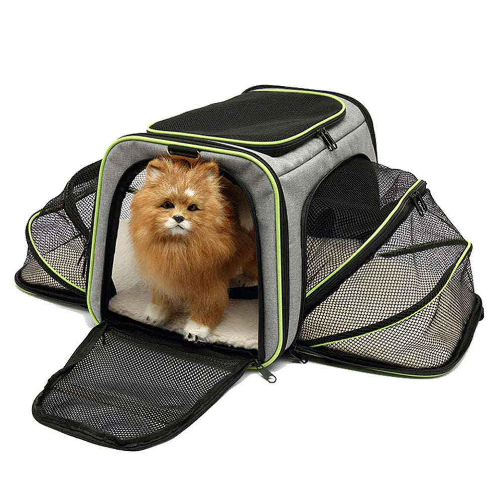 Pet Carrier Bag Up To 10kg Foldable Breathable Soft-Sided Travel Carrier Fall 2025 Safe Locking Zippers