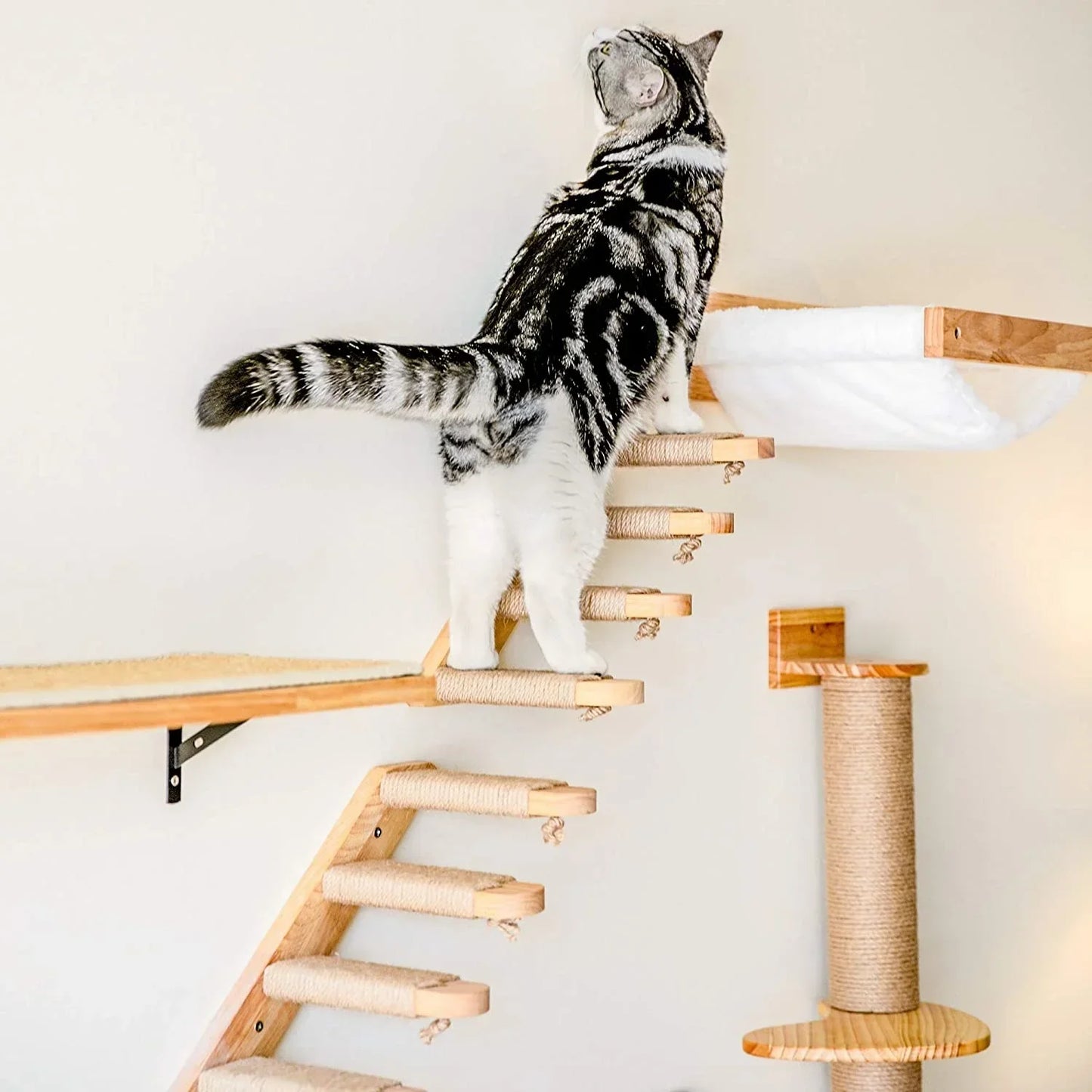 Cat Tree Wall Mounted Hammock Set Vertical Climbing Cat Furniture Fall 2025 Space Saving Scratching Playground