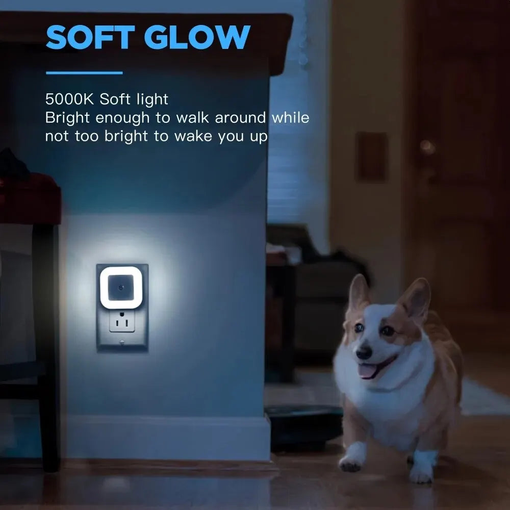 LED Night Light Motion Sensor Ambient Lighting Fall 2026 Energy Saving Auto On At Night
