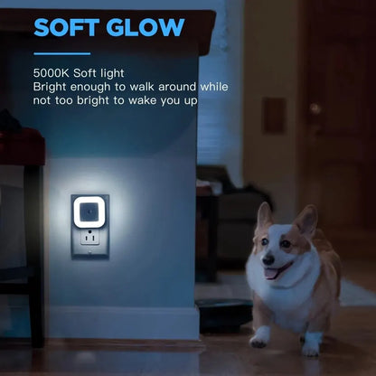 LED Night Light Motion Sensor Ambient Lighting Fall 2026 Energy Saving Auto On At Night