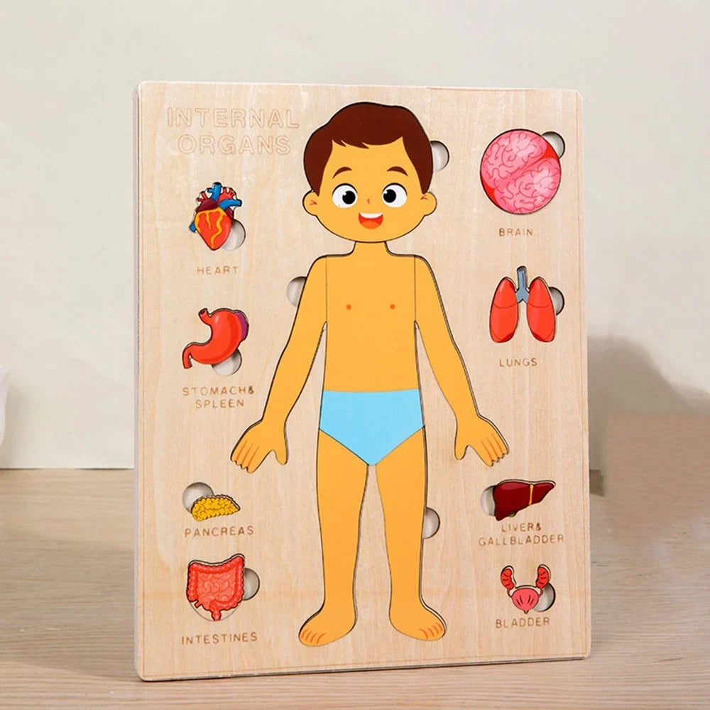 Variant image for Montessori Human Anatomy Jigsaw Puzzle for Kids, 10 Pieces Educational Toy, Interactive Learning Tool, Non-Toxic Wood, 12 x 9 Inches-1