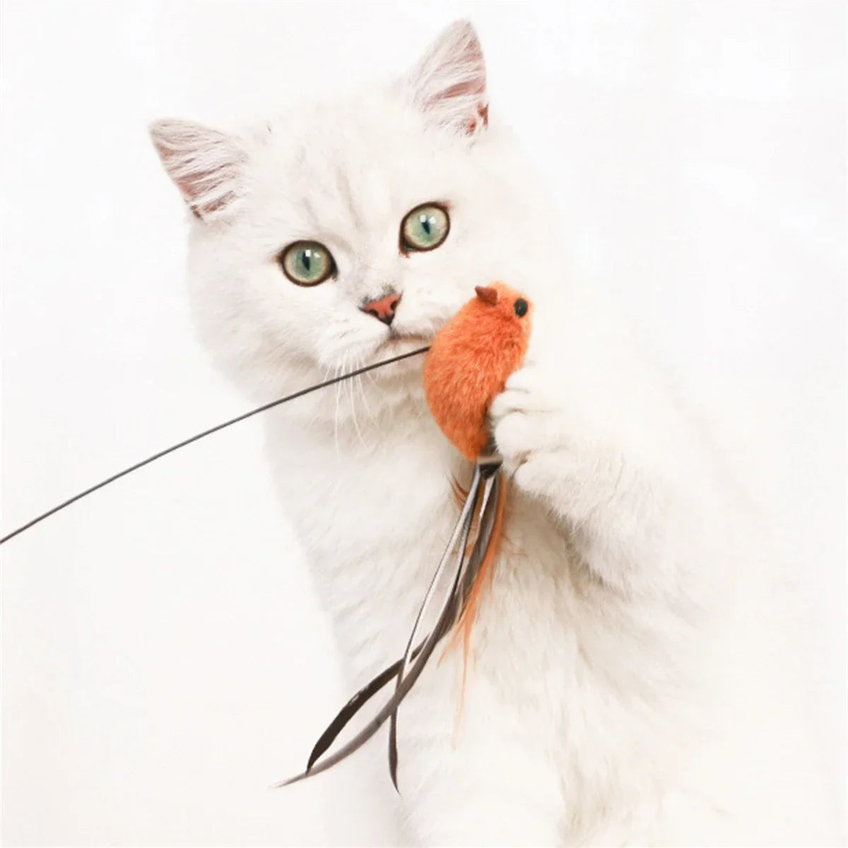 Simulated Bird Cat Toys - Upgraded Feather Teasing Stick, Long Rod with Steel Wire, Cat Safe Fun