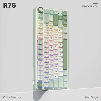 Mechanical Keyboard R75 Gasket 80Key RGB Hot Swap Spanish