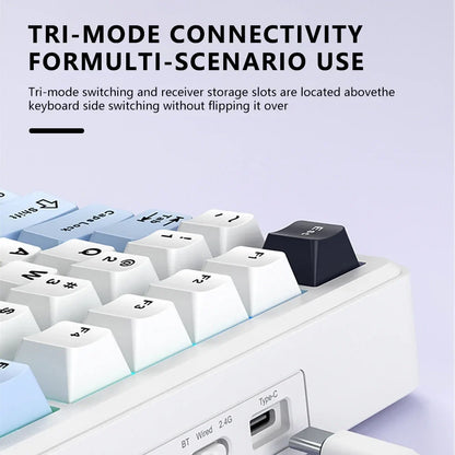 Gaming Mechanical Keyboard 75% Hot Swap RGB TFT Wireless