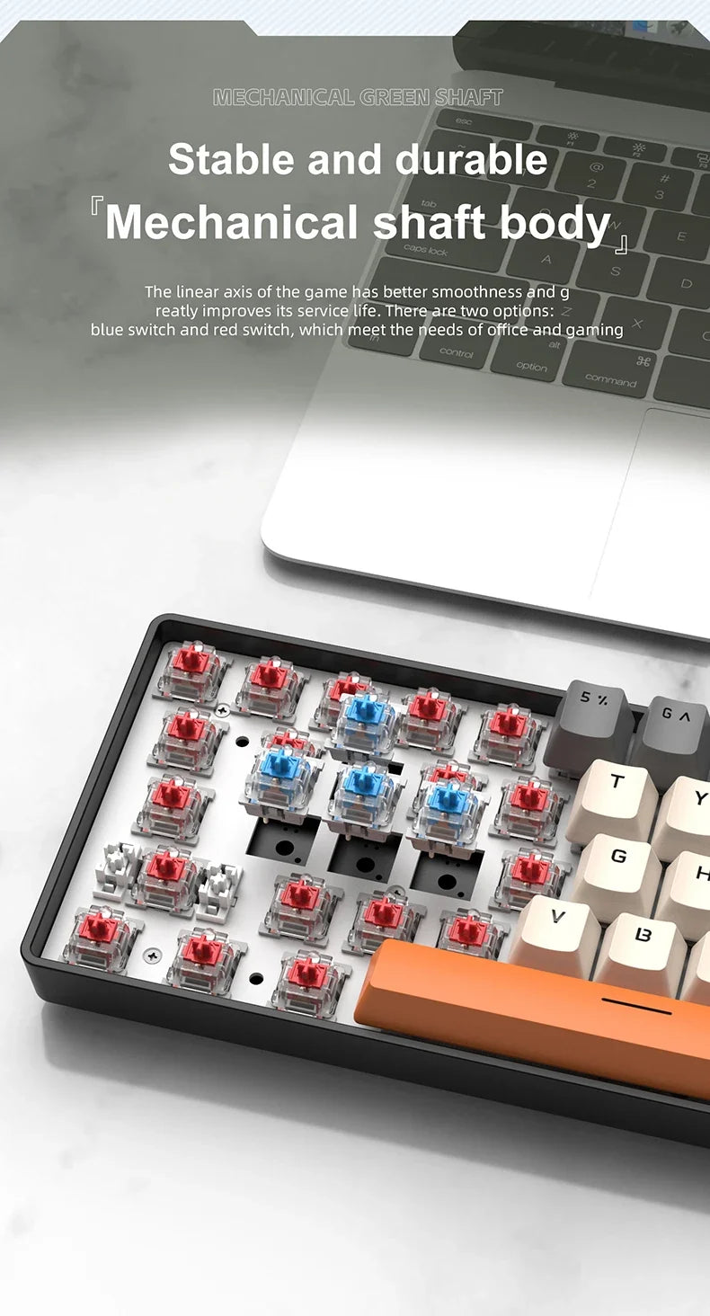 60 Percent Mechanical Mini Keyboard Wired RGB Portable