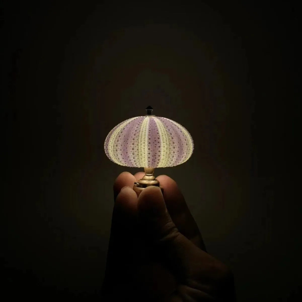 Popular Retro Sea Urchin Night Lamp - Children's Table Lamp for Girls Room Decor