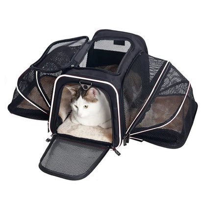 Pet Carrier Bag Up To 10kg Foldable Breathable Soft-Sided Travel Carrier Fall 2025 Safe Locking Zippers