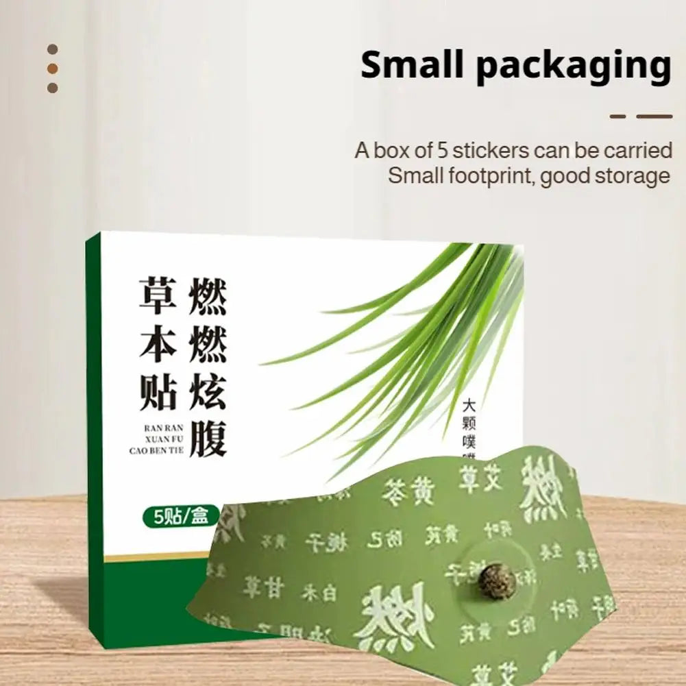 Mugwort Belly Patch Slimming Body Shaping Viral Fall 2026 Fast Fat Burning Gift