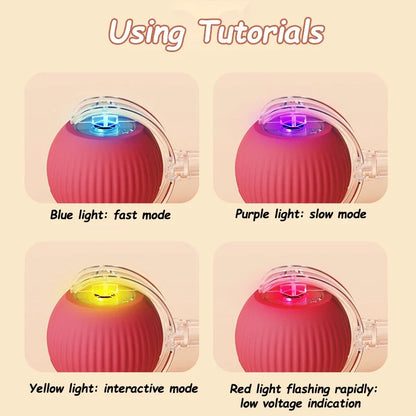 Fruit Interactive Cat Ball Toy - Automatic Rolling Rechargeable Smart Dog & Cat Electric Toy