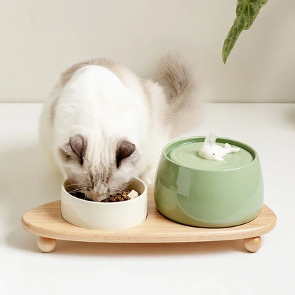 Cat Water Fountain 1300ml Ceramic USB Charging Pet Fountain With Filter And Wooden Stand Fall 2025 Continuous Hydration