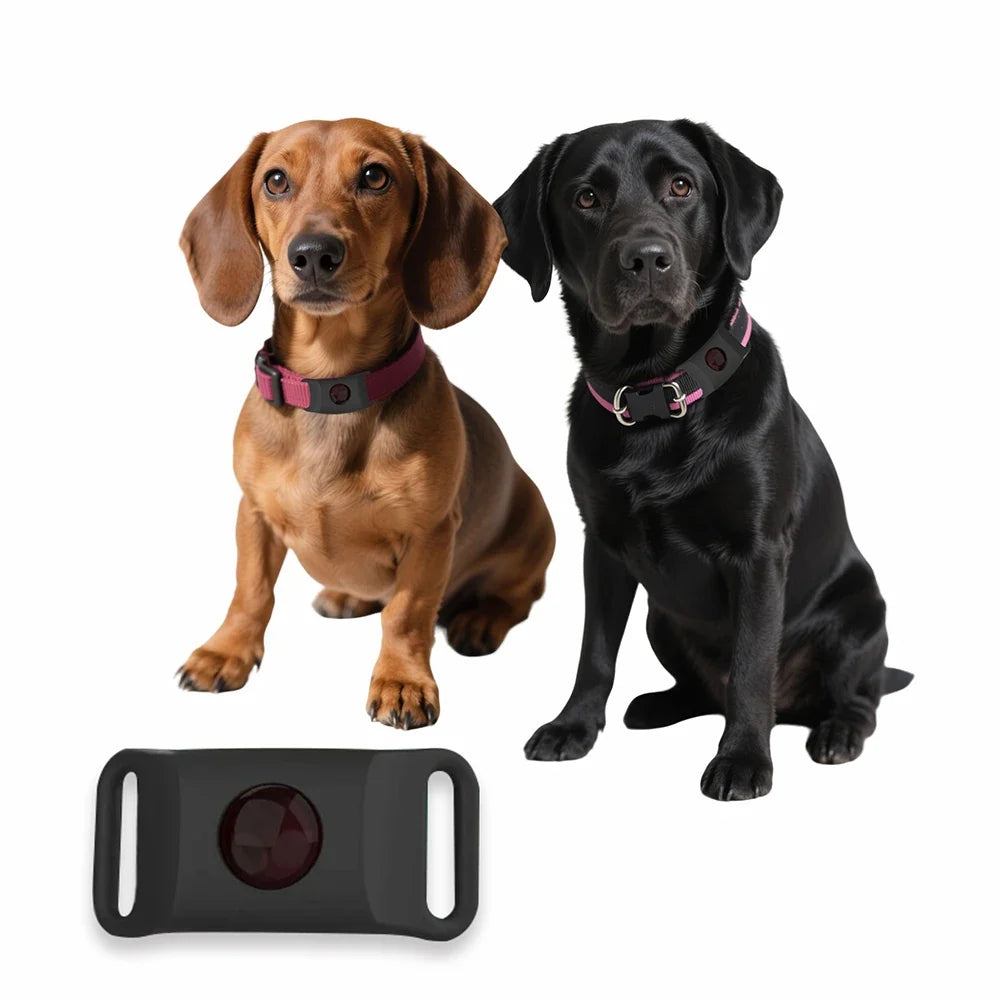 Natural Extract Pet Flea & Tick Repellent Collar Tag Dogs Cats All Seasons Safe Wearable