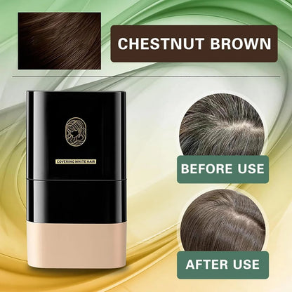 Temporary Hair Color Root Touch-Up Stick with Comb - Instant White Hair Coverage Non-Stain Coloring Pen