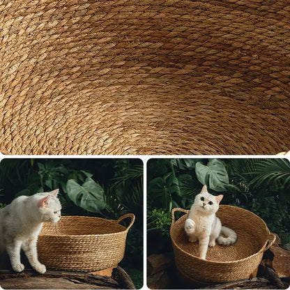 Rattan Cat Nest Handwoven Bamboo Bed Four Seasons 2025 Natural Cool Cozy Hideaway Eco Friendly